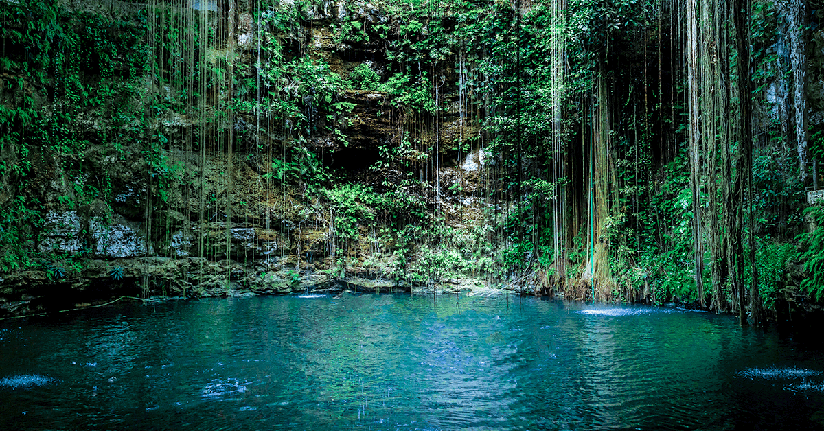 Contribuimos con acciones a la conservación de una de las mayores riquezas de México: El Agua